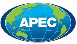 Nga quan tâm đến tiềm năng của APEC
